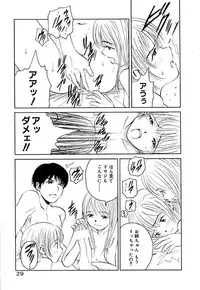 [Armadillo] Neko no Yurikago