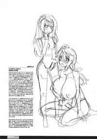 (C81) [HGH (HG Chagawa)] Pleated Gunner #24 - CharLaura (IS <Infinite Stratos>)