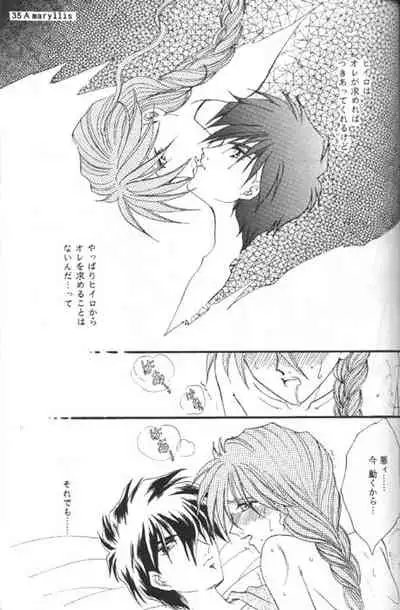 [Youkai Club (Hazuki Younosuke)] Amaryllis (Gundam Wing)