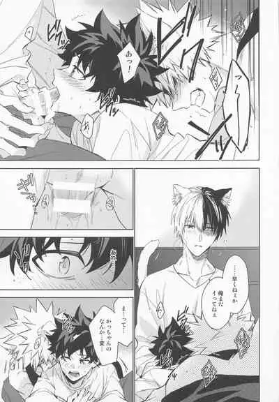 Pet-sama no Iu toori +