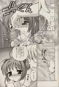 (C64) [Nagisawaya (Nagisawa Yuu)] CHERRY BLOSSOM (Card Captor Sakura)