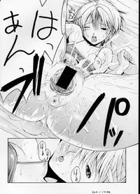 (C63) [EVOLUTION BRAND] Koki no Tane (One Piece)