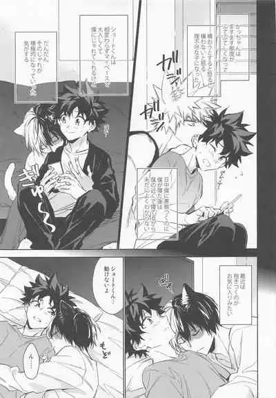 Pet-sama no Iu toori +