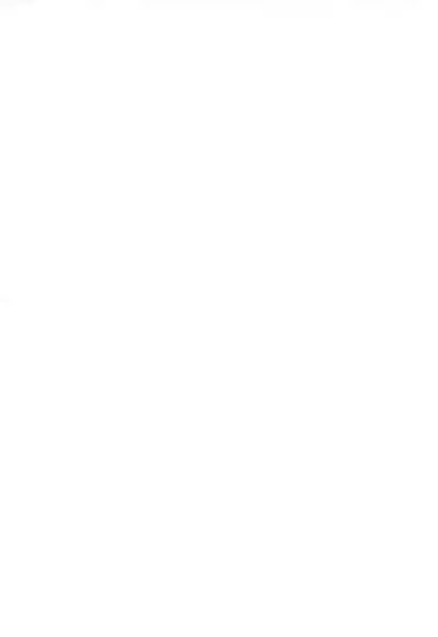 (Puniket 17) [Mokusei Lemonade (Various)] Holywater (Mitsudomoe)