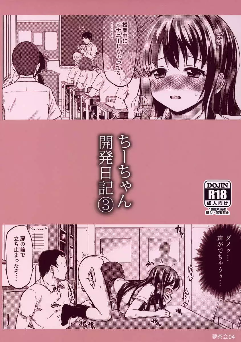 Chii-chan's Development Dairy 3