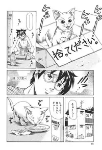 [Tuna Empire] Mahou no Moerist Lyrical Ririnka