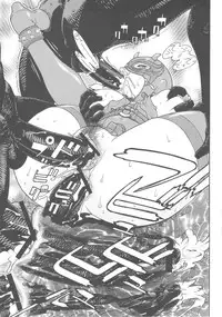 [From Japan] FYC R10Y (Various)