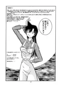 (C56) [QUESTION? (Kumaki Toshikazu)] Otohime Miya X Vol. 4 (Detective Conan)