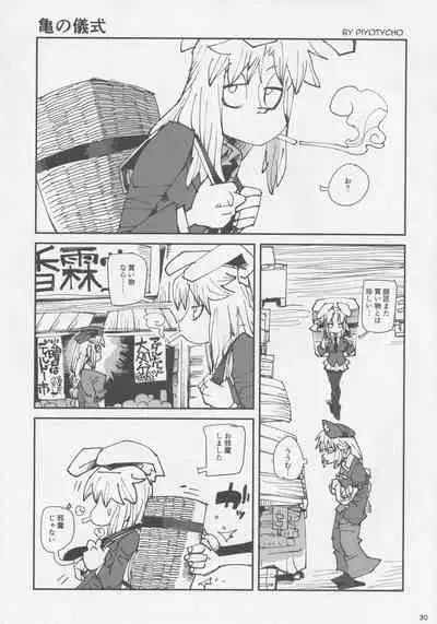 Touhou Okaimono Goudoushi side