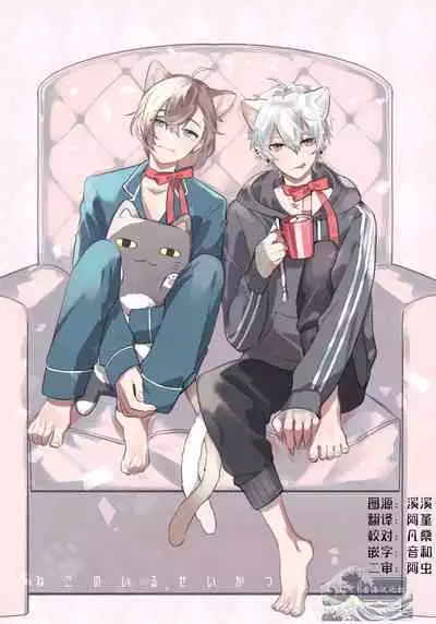 Neko no Iru Seikatsu | 有猫的生活