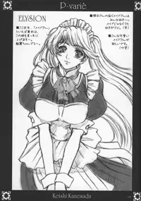 (C65) [NOUZUI MAJUTSU, NO-NO'S (Kanesada Keishi, Kawara Keisuke)] P-varié