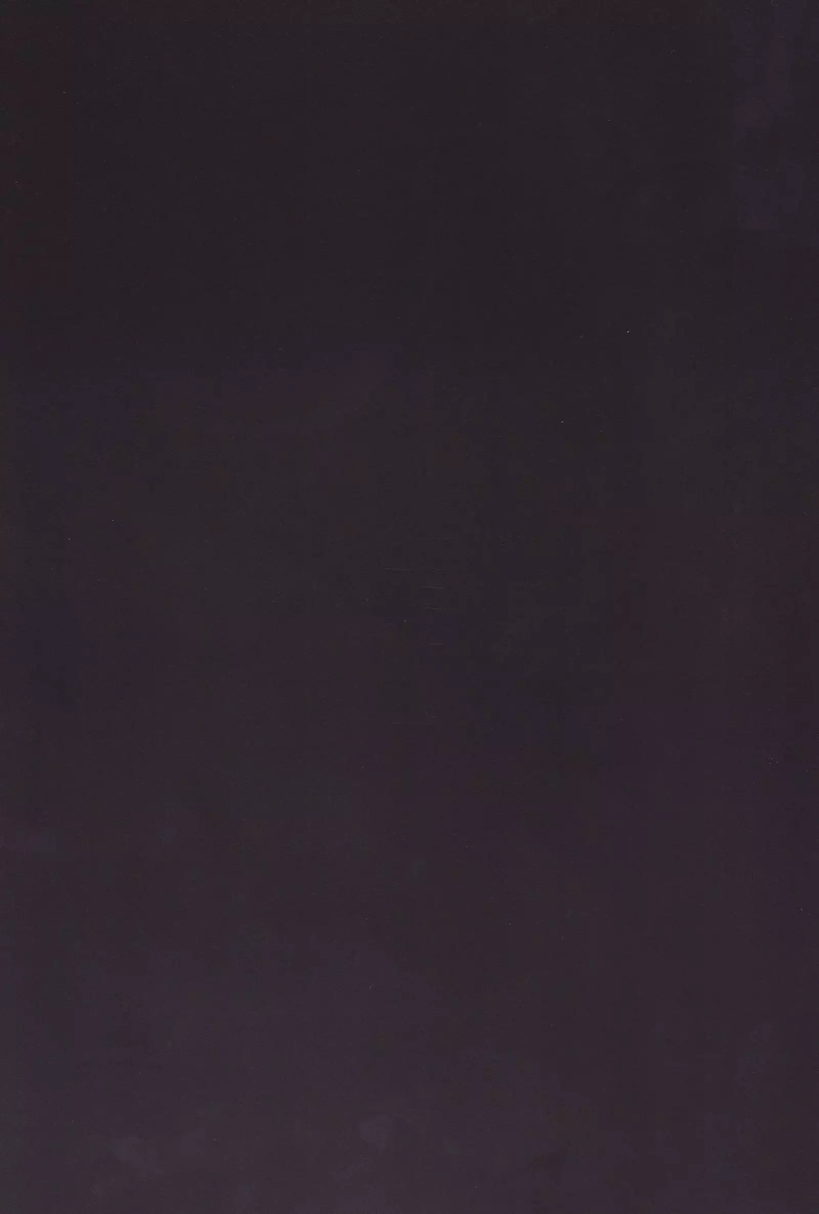 Nikuningyou Alice Margatroid