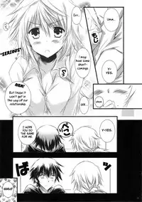 (C81) [SONIC WINTER (Tsukishima Kai)] Carol (Infinite Stratos) [English]