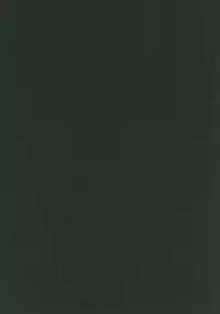 (C92) [RainWaterServer (Amamiya Mizuki)] Miryou no Belladonna (Fate/Grand Order)