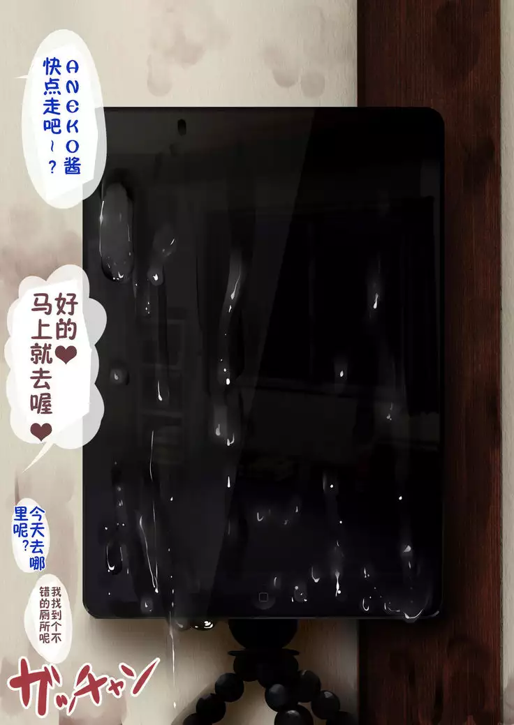 Aneko-chan no Jidori AV Gokko