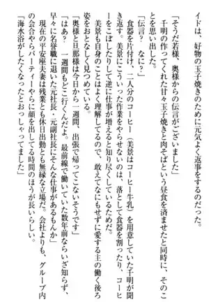 年上メイドの新婚日記