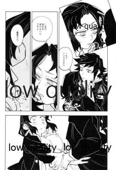 フクシアの花びら