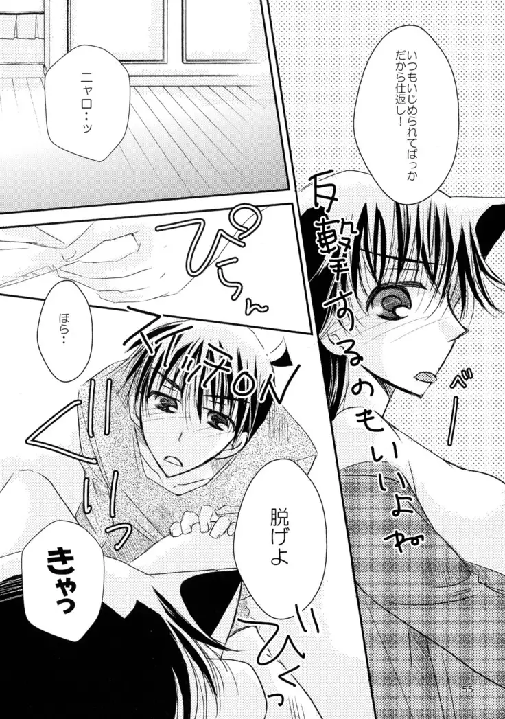 MACARON-CHOCOLAT-DOLCE