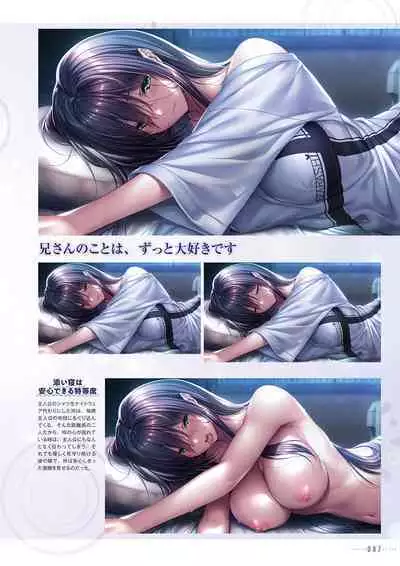 Amakano 2+ Visual Fan Book