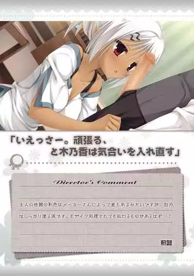 AMAIRO ISLENAUTS OFFICIAL VISUAL FAN BOOK