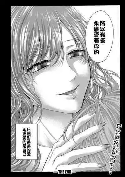 hasebe souutsu collection