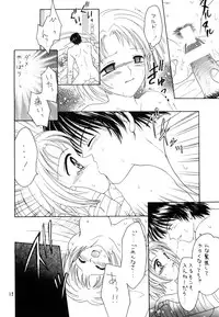 [Shadow's] Shadow's 06 (Tear Ring Saga)