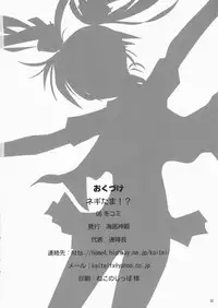 (C71) [Kaiteisinden (Rentaichou)] Negitama!? (Mahou Sensei Negima!)