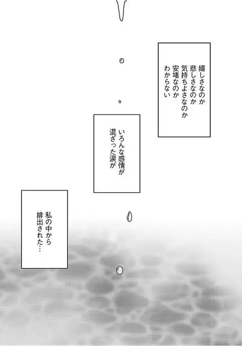 Virgin Train 【Kanzenban】