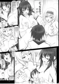 (COMIC1☆5) [IRODORI (SOYOSOYO)] H'I,S (Infinite Stratos)