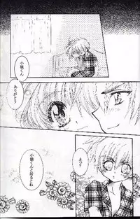 [Abe Ryu] [2000 Summer] Wolf and Cherry