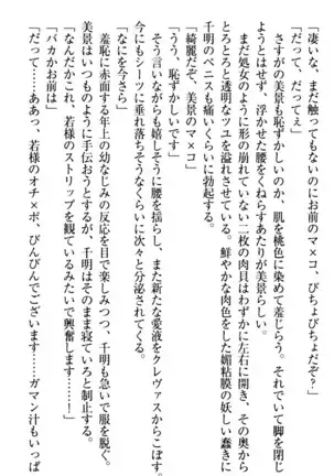 年上メイドの新婚日記