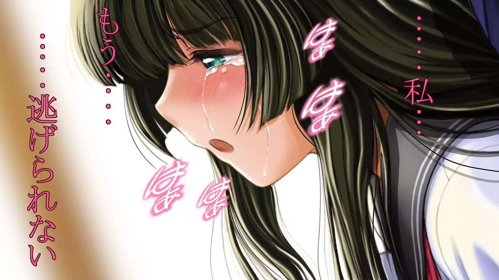 Dohentai ni sareteyuku seijyunshimai no dosukebe monogatari