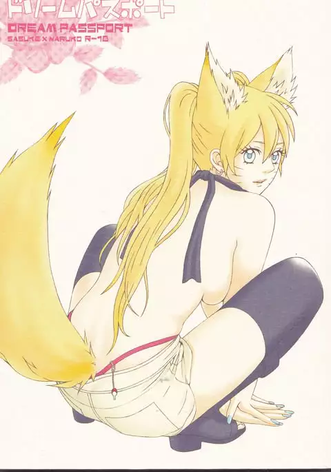 Dream passport )incomplete