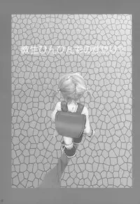 (SC23) [IZUMISOU#5 (Rustle)] Lolita Complex 5