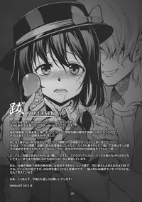 (C85) [WindArTeam (WindArt)] Renko Inkou Dachi (Touhou Project)