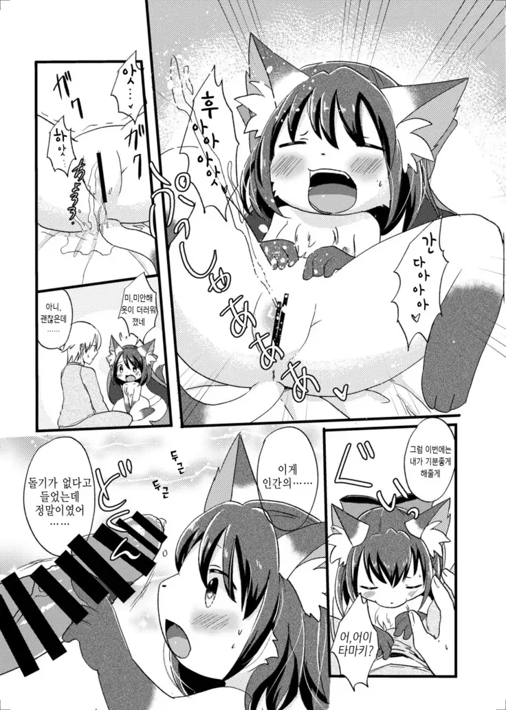 Nekomata no Tamaki-chan