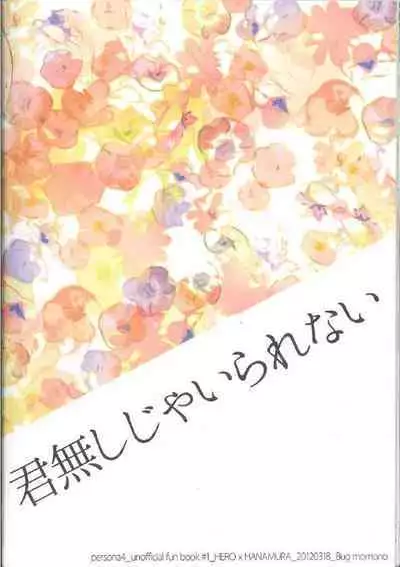 Kimi Nashi ja Irarenai