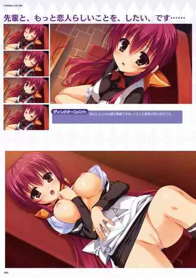 DRACU-RIOT! Official Visual Fan Book