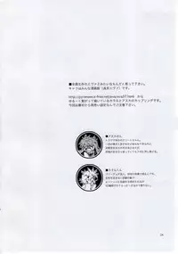 (C77) [Aihara Otome (Yamada Nyoriko)] Miesugi Janai (Neon Genesis Evangelion)