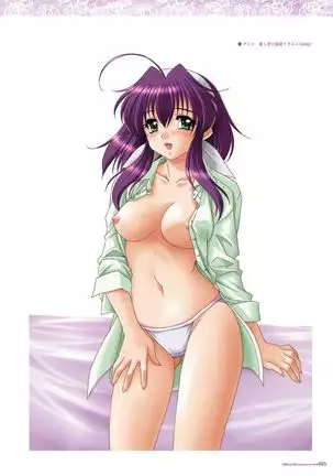 Alice soft "Tsuma wife series" Art Works