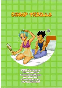 (C66) [Ryuujin-kai (HITO Ribuki)] CHEAP THRILLS (Dragon Ball Z)