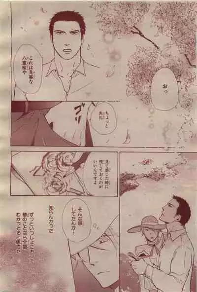 BE・BOY GOLD 2009-04