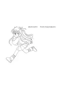 (C60) [Purin Yokochou (Ouka Sushi)] BUKKOMI PURINDONBURI (Gunparade March, Kanon)