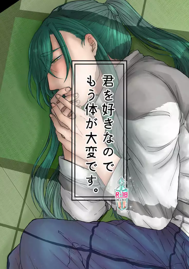 Kimi wo Suki Nanode Mou Karada ga Taihen Desu