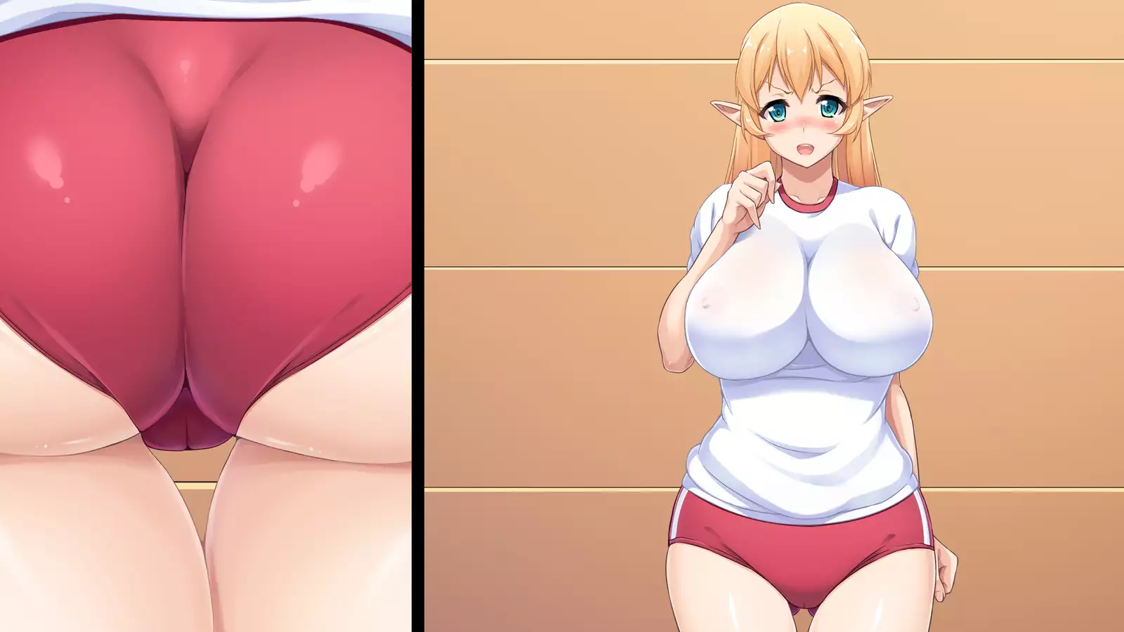 Junshin na Elf no Ryuugakusei ni Anal Choukyo shiyo!