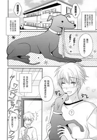 [Louis&Visee] Hatsujou Rose Ears (PURE cross LOVE) [Chinese] [RSV个人汉化]