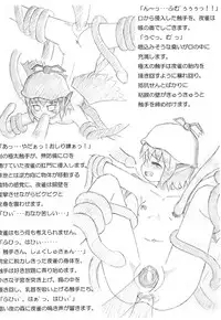 (C70) [Mirabilien Fabrik (Various)] Shoujo Yousai Rengashuu Touhou Inreika (Touhou Project)