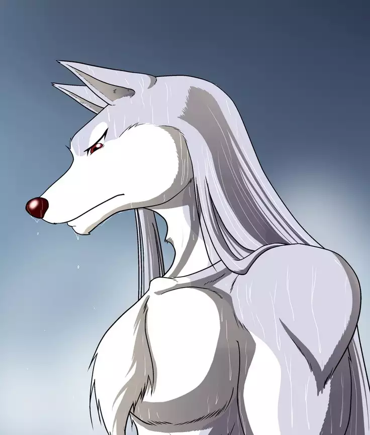 Kemono no Roukaku Matsuri