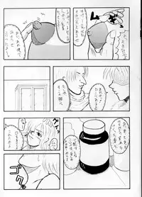 (C63) [EVOLUTION BRAND] Koki no Tane (One Piece)