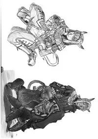 [NP Virus Jouryuujo] Mithman Report 2008 (Final Fantasy XI)(C74)